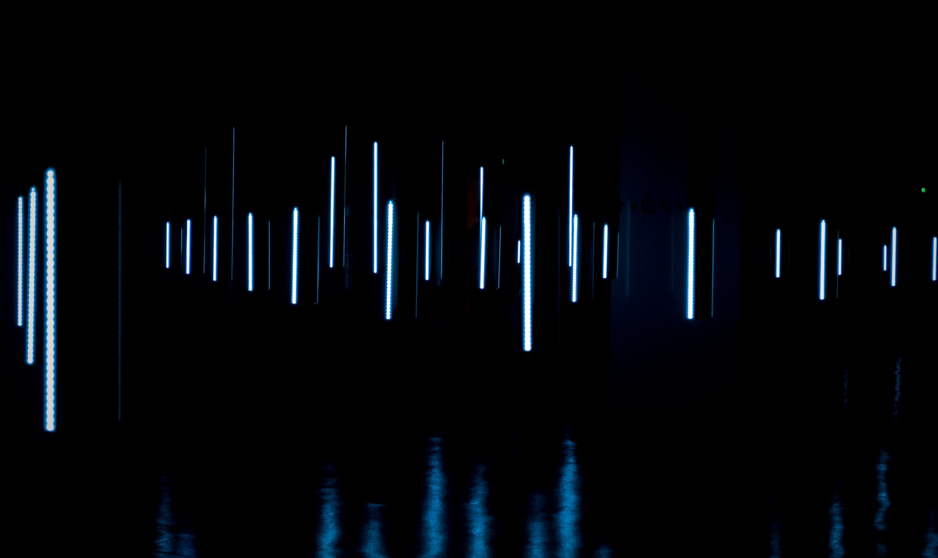 _DSC0177