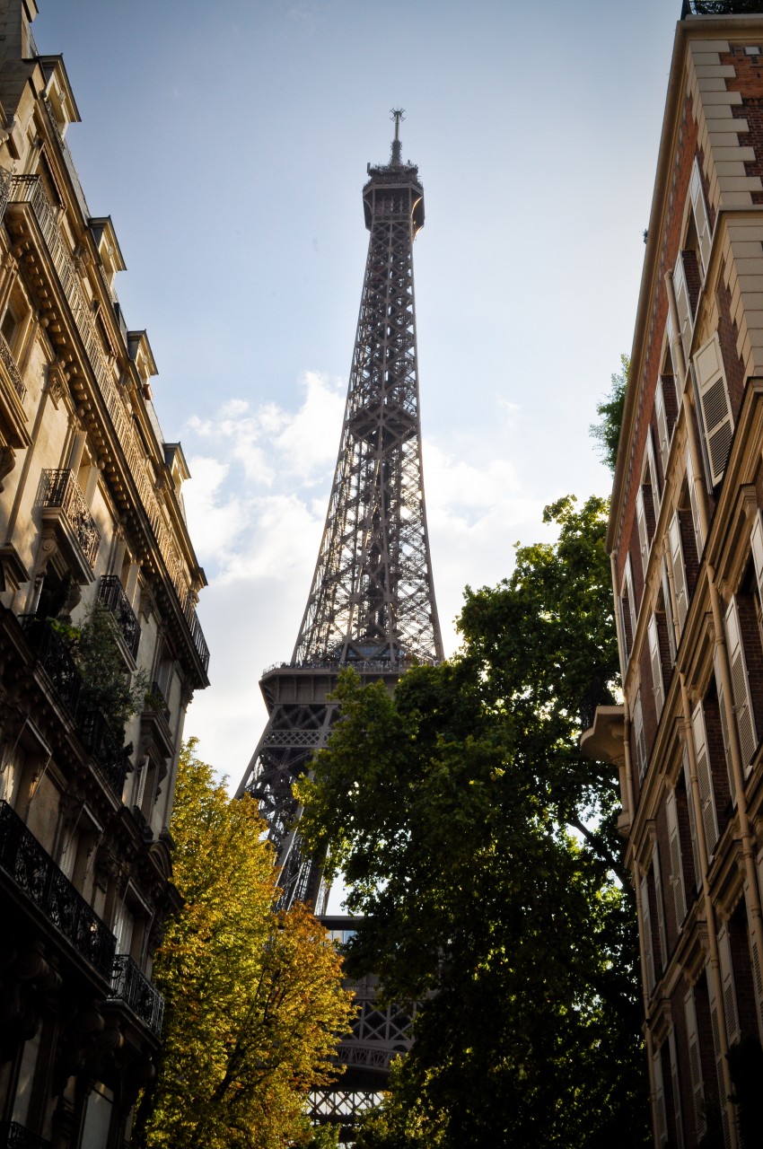 _DSC0210