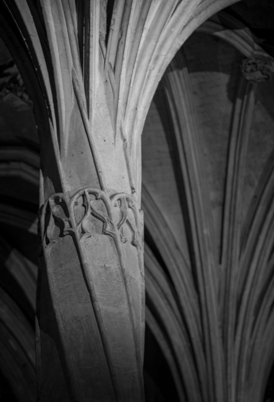 IMG_4039