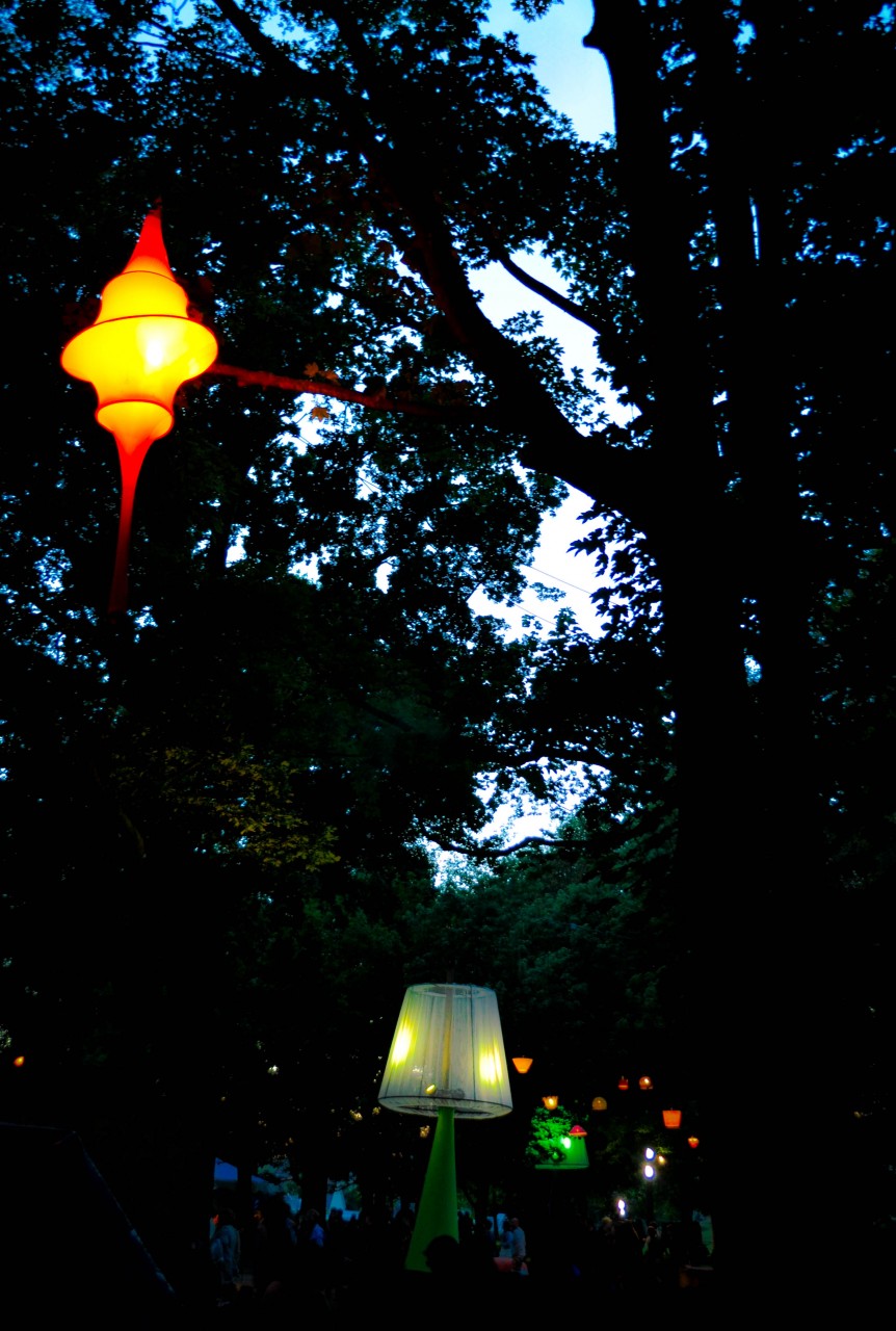 _DSC0004