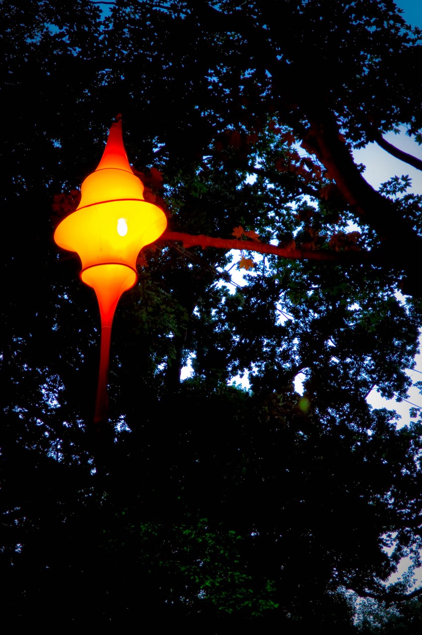 _DSC0005