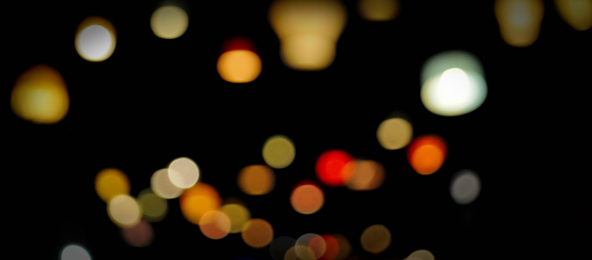 _DSC0011