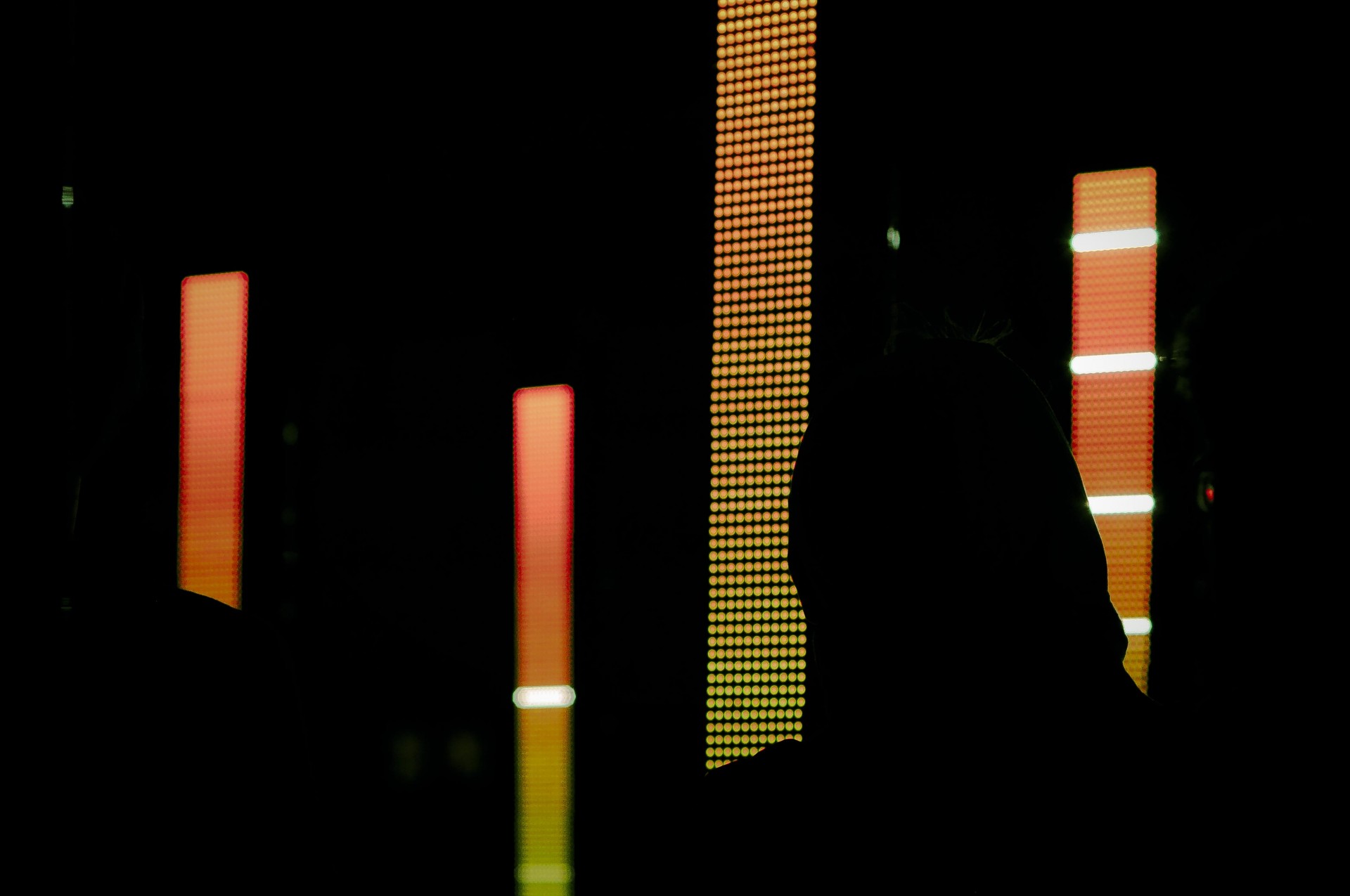 _DSC0095